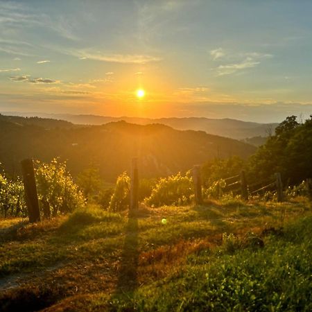 אקווי טרמה 1929 Wine Food Relax Agriturismo מראה חיצוני תמונה