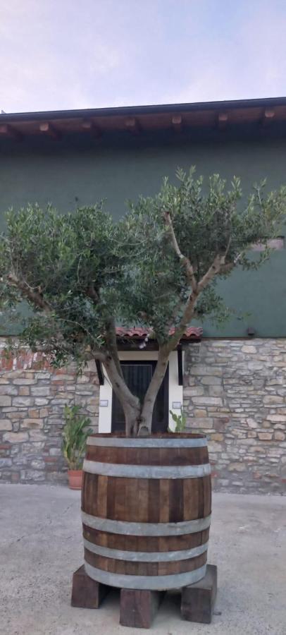 אקווי טרמה 1929 Wine Food Relax Agriturismo מראה חיצוני תמונה
