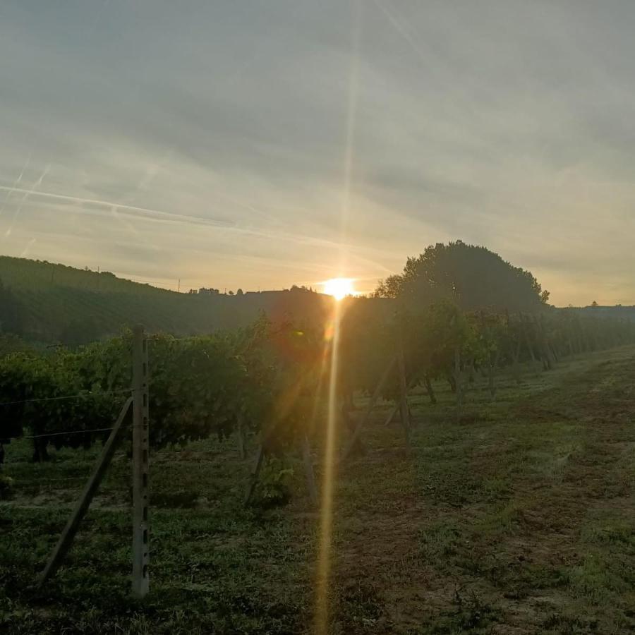 אקווי טרמה 1929 Wine Food Relax Agriturismo מראה חיצוני תמונה