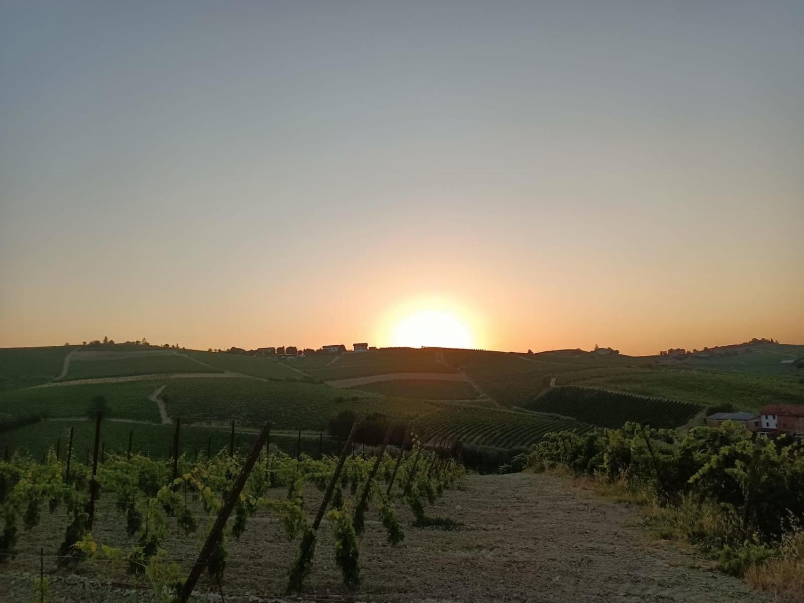 אקווי טרמה 1929 Wine Food Relax Agriturismo מראה חיצוני תמונה